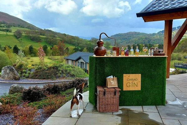Cariad Gin at Maes Mynan Park | North Wales