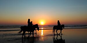 Horse Riding | Talacre Beach | Acorn Leisure Holiday Parks | North Wales
