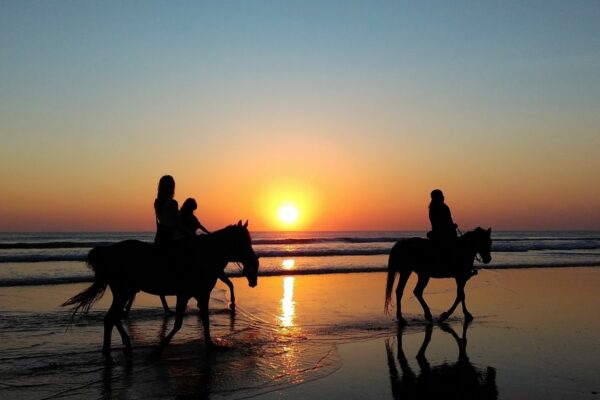 Horse Riding | Talacre Beach | Acorn Leisure Holiday Parks | North Wales