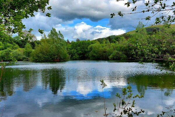 Lakeside views - Lodges for sale - Maes Mynan Park - North Wales