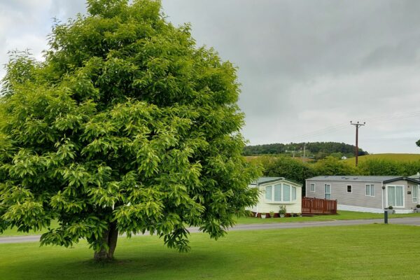 Misty Waters Holiday Park | Acorn Leisure Holiday Parks | Holiday Homes For Sale | North Wales