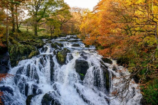 Swallow Falls | North Wales | Acorn Leisure Holiday Parks