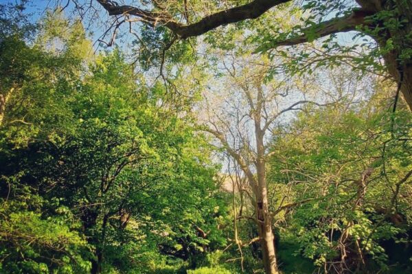 Maes Mynan Holiday Park Walk Routes | North Wales | Holiday Homes For Sale