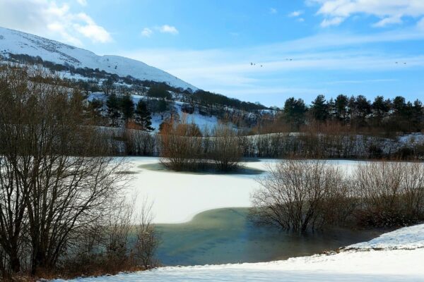 maes mynan - snow lake - 2021 - slider