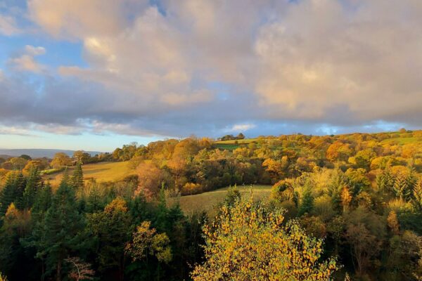 Autumn colours across towards Denbigh Moors| Maes Mynan Park | North Wales