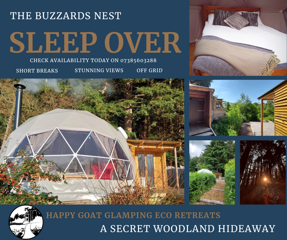 Book your over night stay in our boutique eco glamping pod in North Wales - the buzzards nest
