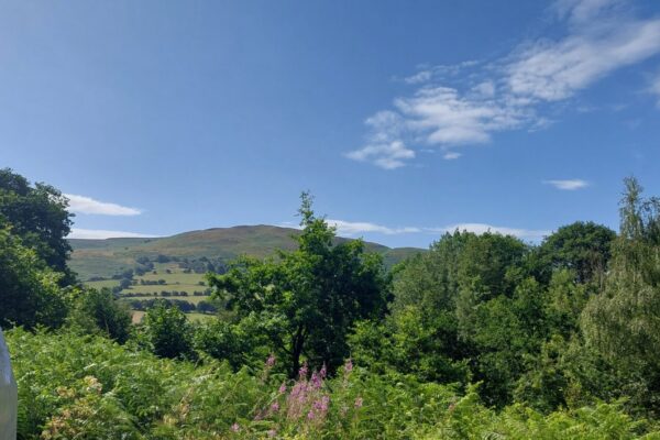 off grid rewilding glamping holiday | weekend stays | north wales |