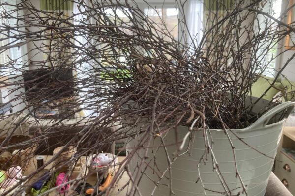 How to make an Easter Wreath from foraged birch | Maes Mynan Holiday Park | North Wales