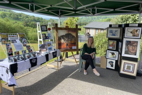 Kath Morley Touch Art - Maes Mynan Park - Holiday Home Show 2024