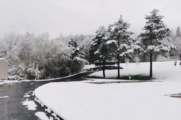 holiday homeowner snow pic Nov 24 - Maes Mynan