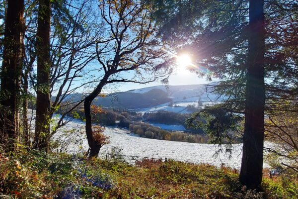 best countryside holiday park in north wales