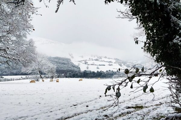 snowy walks around maes mynan