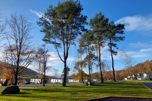 Lovely Lodges at Meas Mynan Holiday Park