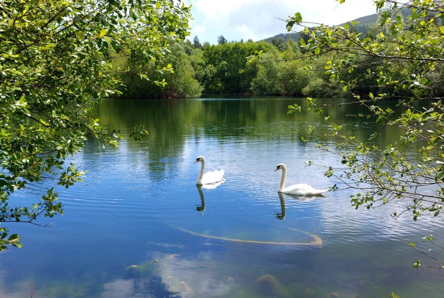 The benefits of a 12-month holiday park include access to seasonal nature at Maes Mynan Park in North Wales