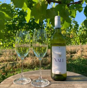 Vale Vineyard - Gwinllan y Dyffryn | North Wales | Acorn Leisure Holiday Homes