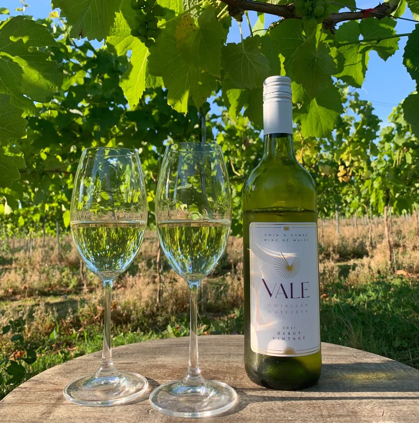 Vale Vineyard - Gwinllan y Dyffryn | North Wales | Acorn Leisure Holiday Homes