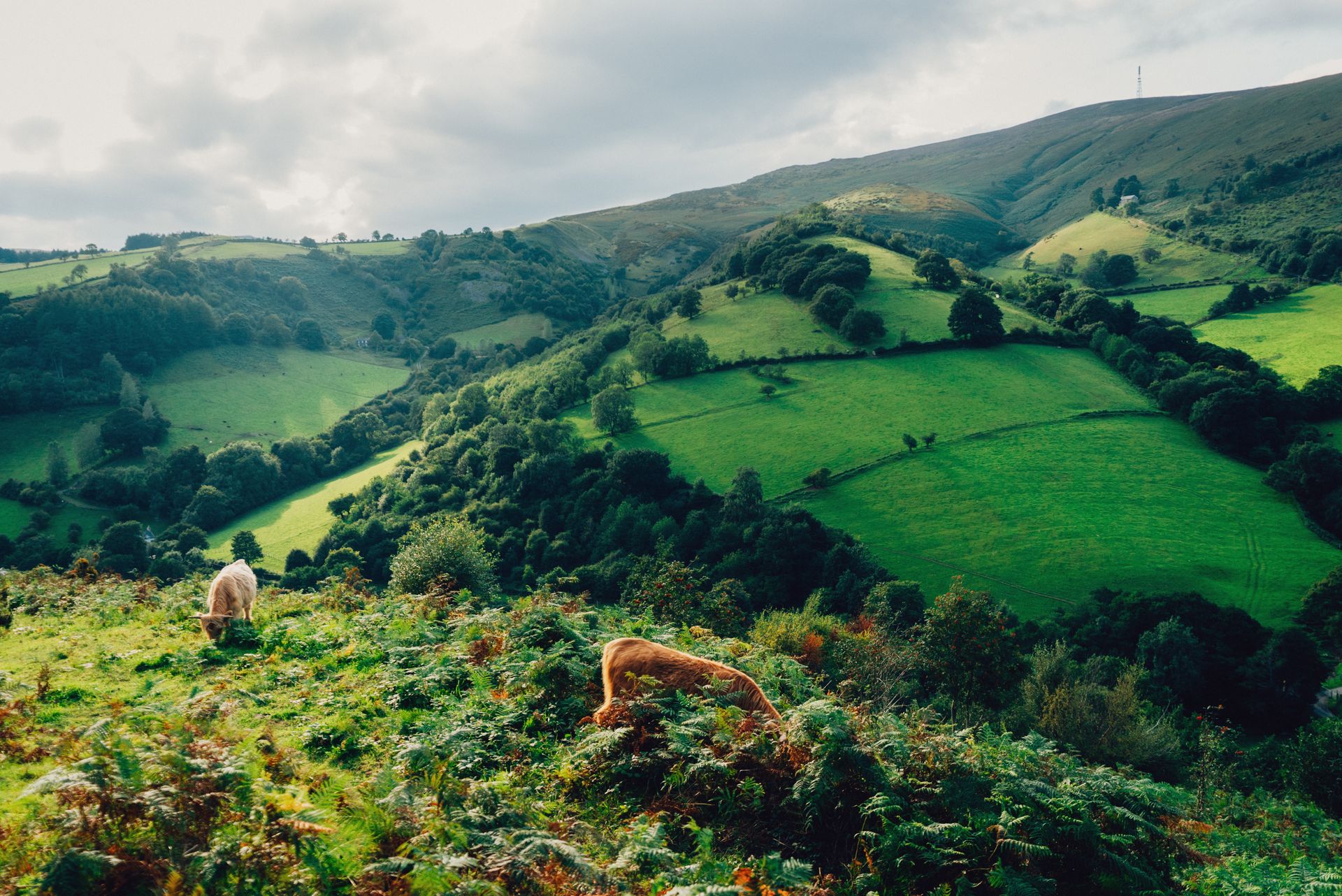 Discover What’s On Your Doorstep – North Wales is a treasure trove to explore for Acorn Leisure holiday homeowners.