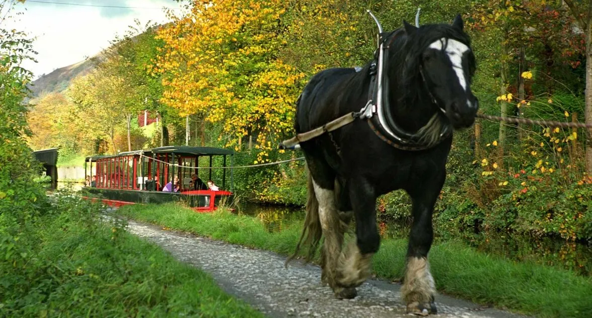 Horse Drawn Boat Trips | Llangollen | North Wales