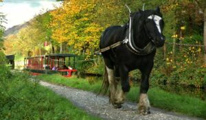 Horse Drawn Boat Trips | Llangollen | North Wales