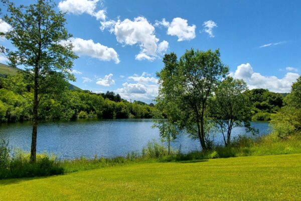 lake june 2024