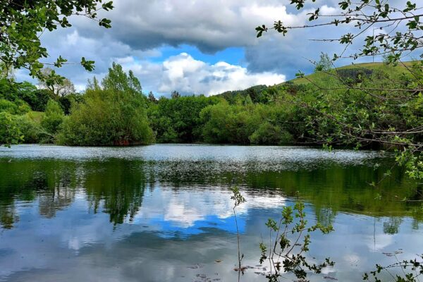 maes mynan lake views