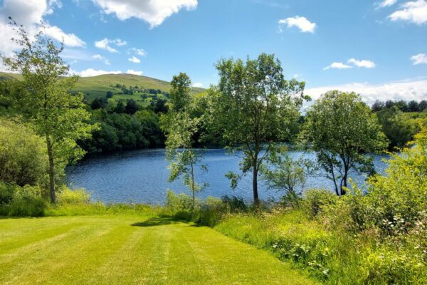 park and wild areas at maes mynan park