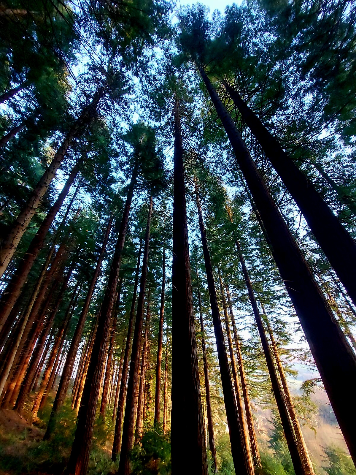 Peaceful holiday retreat for holiday homeowners in North Wales | Maes Mynan Park