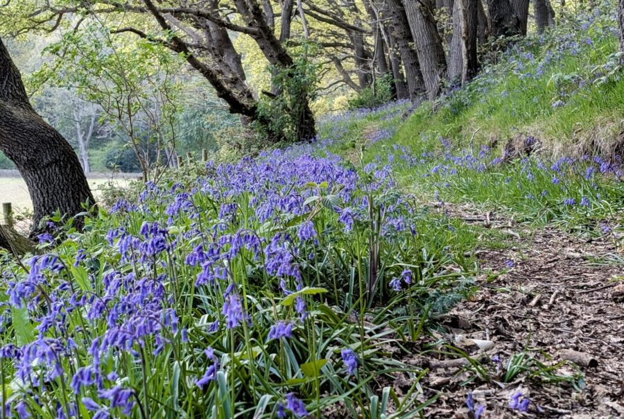 Reclaiming Balance: How Owning a Holiday Home in Nature Can Transform Your Work-Life Harmony | Acorn Leisure Holiday Parks | North Wales