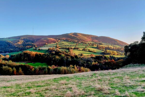 What Is a 12-Month Holiday Park? Benefits Explained |Discover the year-round joy of holiday homeownership at Maes Mynan Park in North Wales