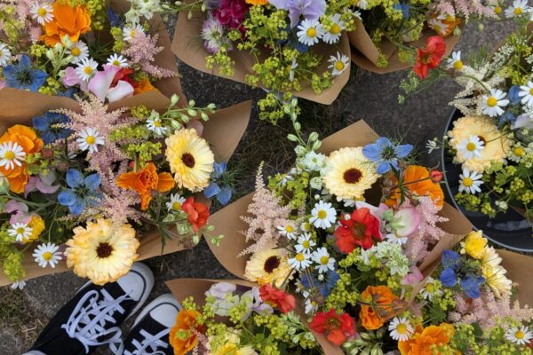 National Garden Scheme event Fresh in Bloom