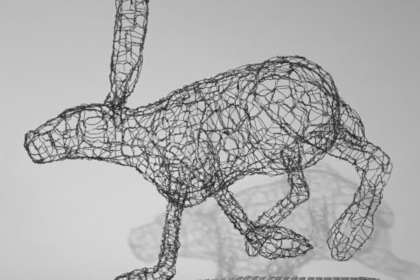 National Garden Scheme event creatively wired rabbit