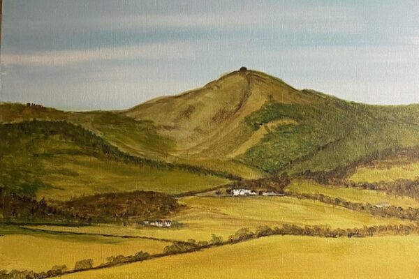 National Garden scheme event at Maes Mynan Park Gill Benjamin Artist