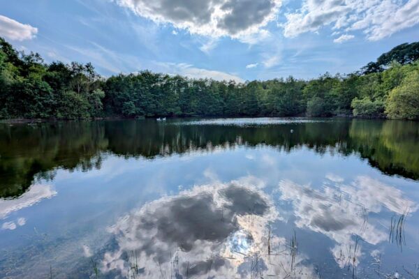 Maes Mynan Park has three lakes & plenty of nature to explore and absorb | Acorn Leisure Holiday Parks North Wales