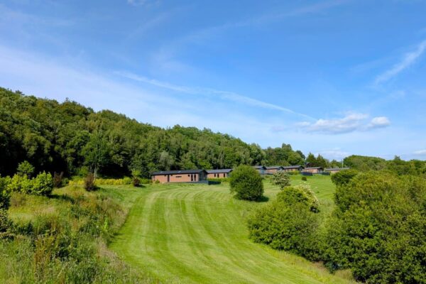 Maes Mynan Park Lodges | After the parkland maintenance | Countryside Retreats for sale in North Wales