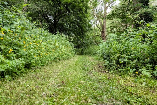 Enjoy the freedom to roam at Maes Mynan Park | Holiday Home Ownership - How to Make The Most Of It