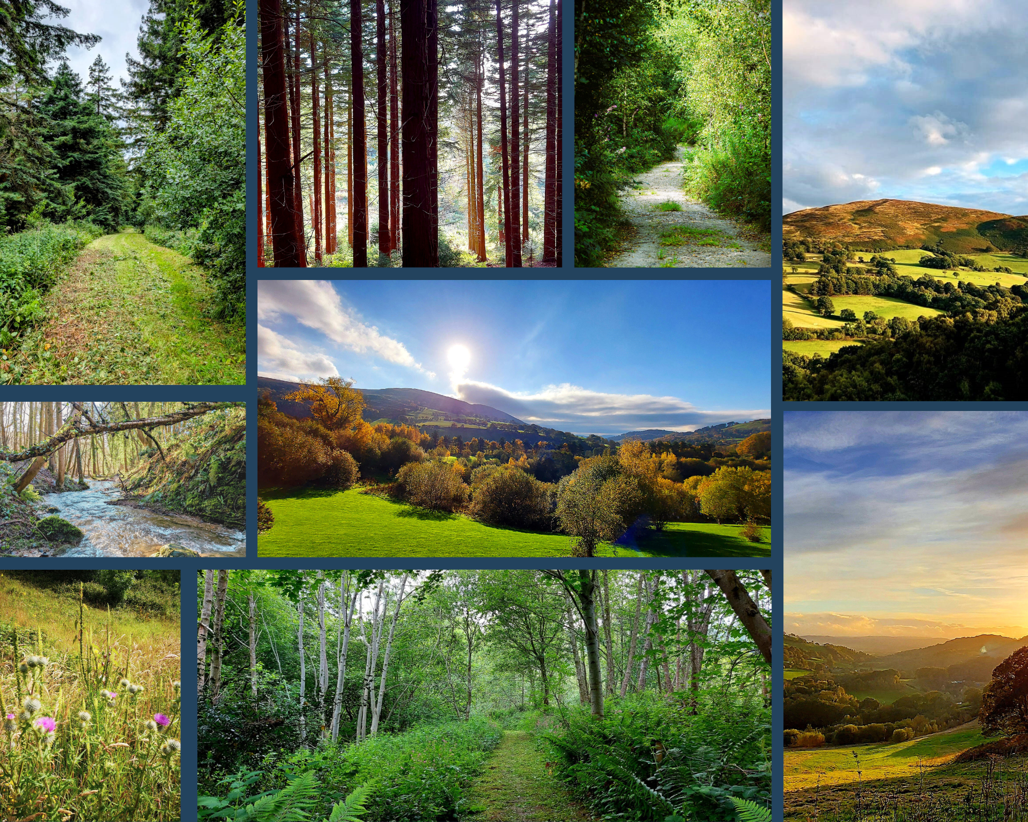 North Wales Countryside Walks around Maes Mynan Park in Flintshire & Misty Waters Holiday Park | Acorn Leisure