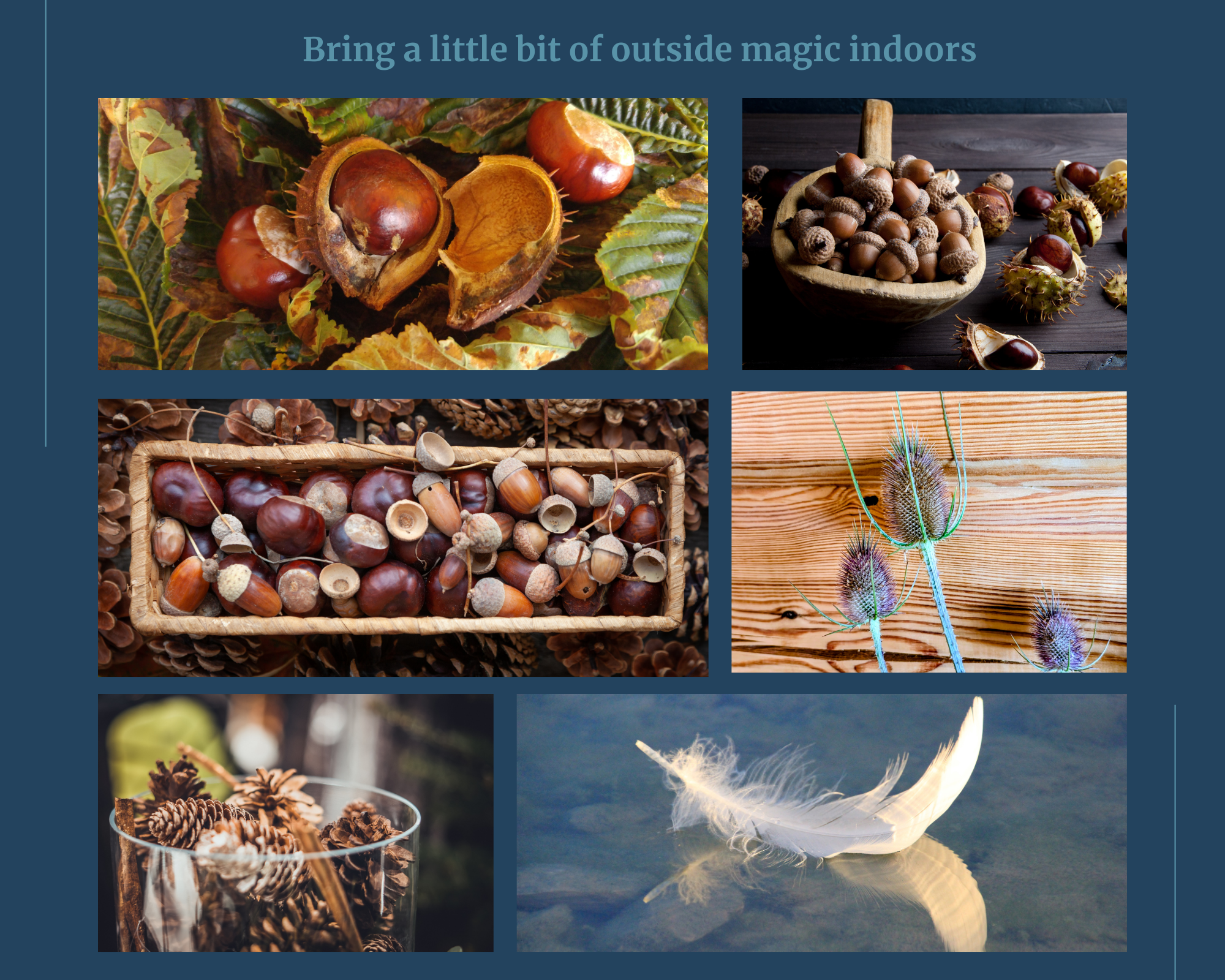 Nature’s Keepsakes From North Wales | Acorn Leisure Holiday Parks