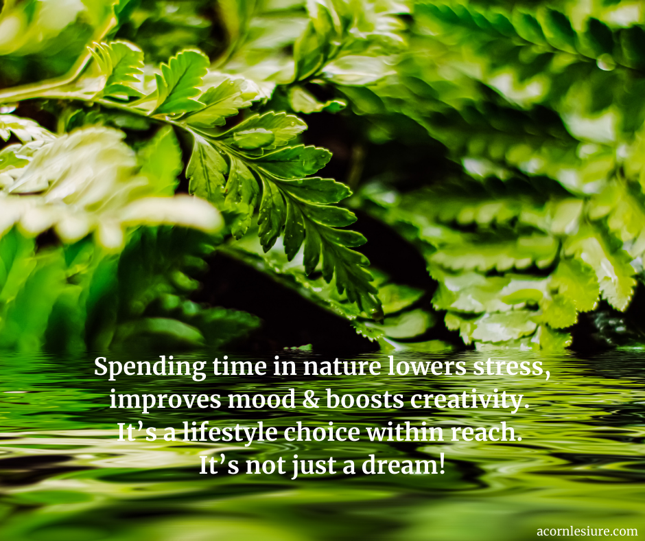 The new wellbeing economy Research shows what many of us instinctively know: spending time in nature lowers stress, improves mood, and even boosts creativity. North Wales | Acorn Leisure