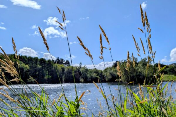 Lakeside Holiday Homes | Make Wellbing in Nature A Priority In Your Life’s Third Quarter | Maes Mynan Park in North Wales