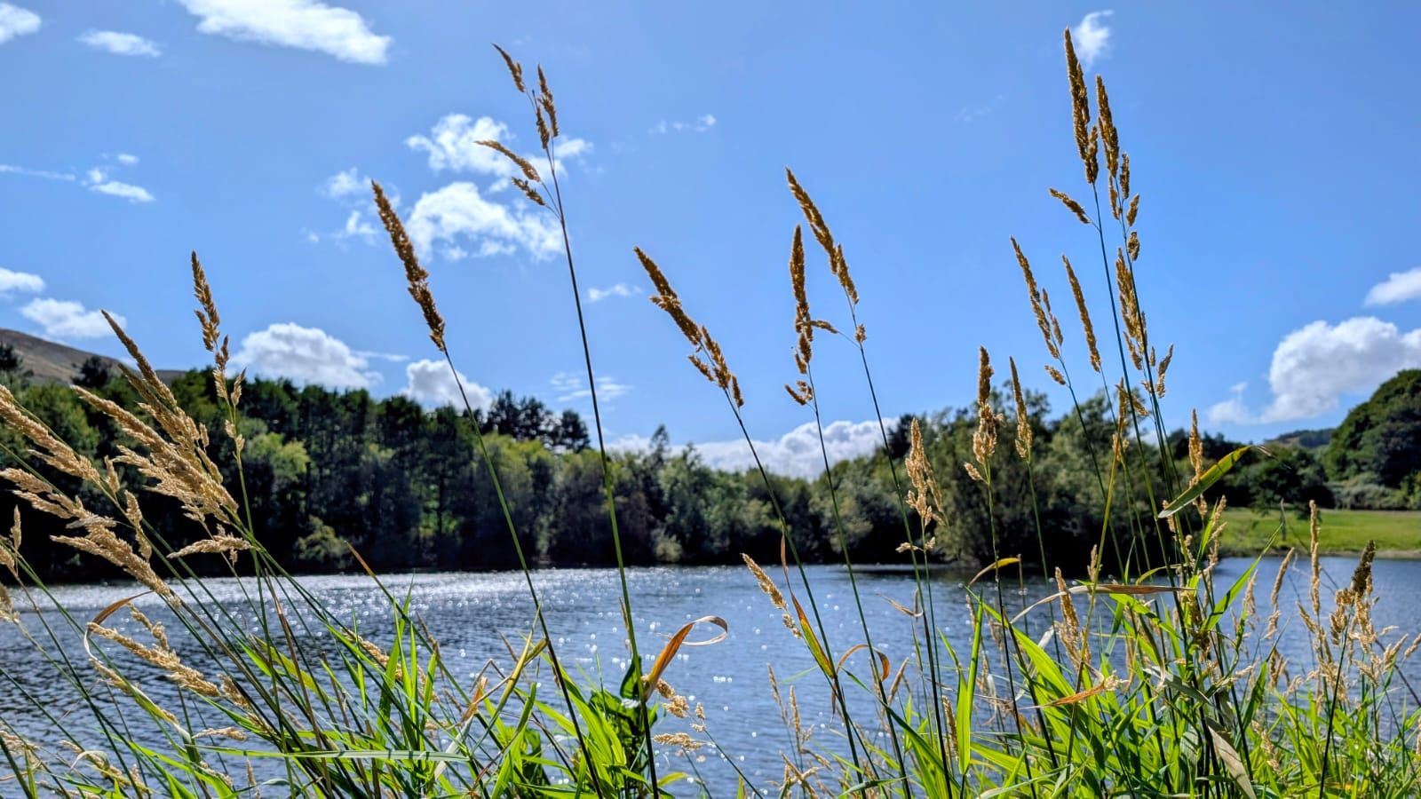 Make Your Wellbeing in Nature A Priority