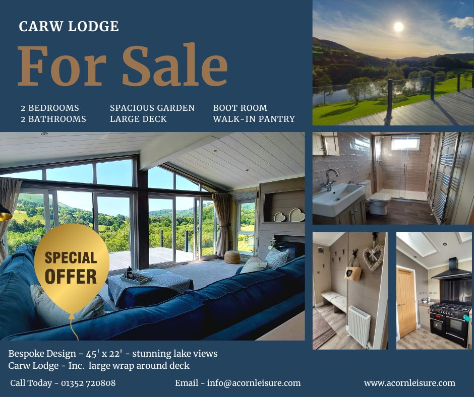 Carw Lodge - omar lodge - bespoke lodge - stunning lodge - holiday home - chalet