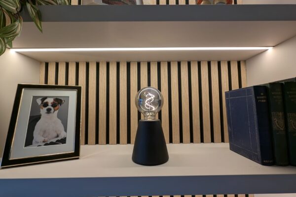 LED-lit feature shelving in contemporary country lodge for sale | Maes Mynan Park | YourRetreats