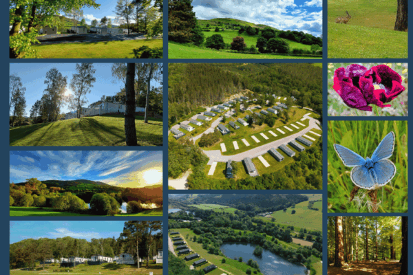 Collection of photographs of Maes Mynan Park in North Wales for Holiday homeownership