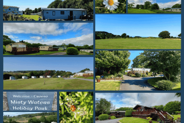 Collage of Misty Waters Holiday Park showing chalets, static caravans, open countryside and manicured lawns under a blue sky.