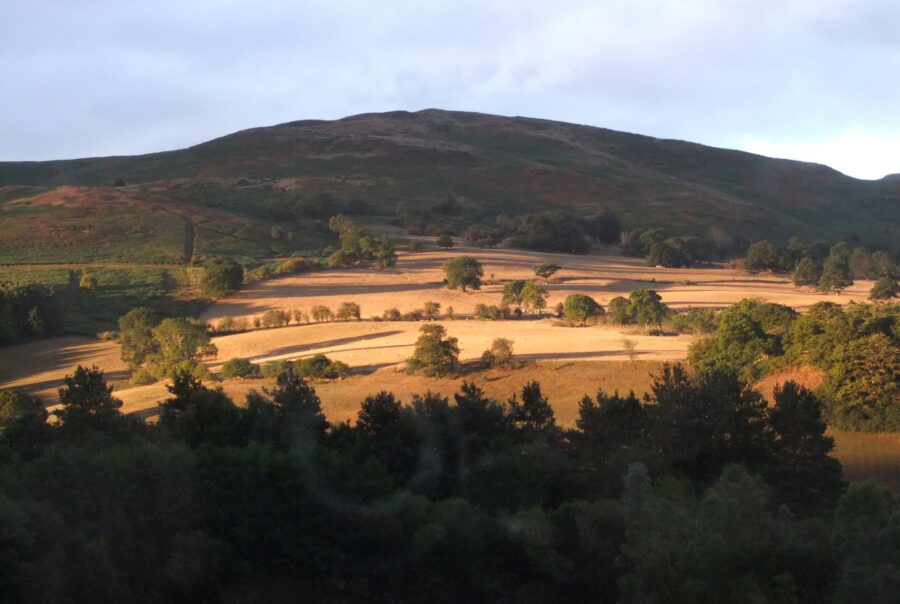 Moel Y Parc | Clwydian Range | National Landscape Taken from a lodge plot on Maes Mynan Park in August